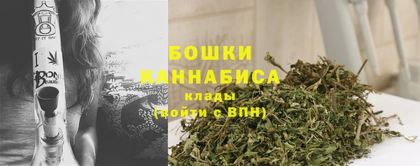 ГАЛЛЮЦИНОГЕННЫЕ ГРИБЫ Новодвинск
