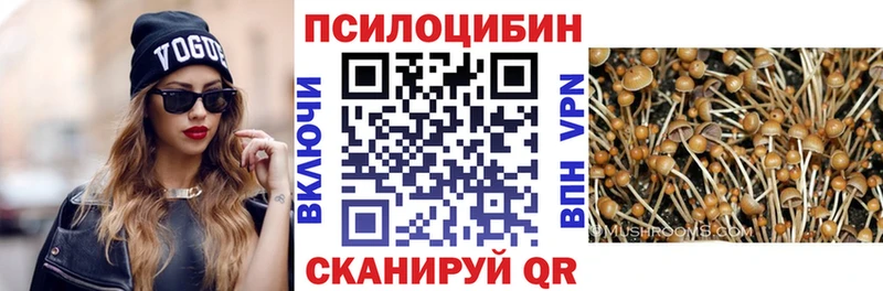 Галлюциногенные грибы Psilocybine cubensis  Краснокаменск 