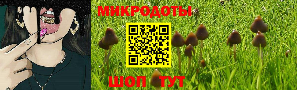 закладки  Псилоцибиновые грибы Psilocybe  Краснокаменск  Галлюциногенные грибы Magic Shrooms 