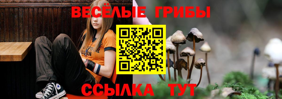 Краснокаменск  Галлюциногенные грибы прущие грибы  Вход с VPN 